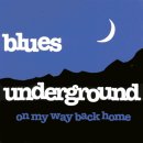 Blues Underground/ St James Infirmary 이미지