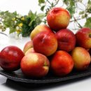 금호농협 이미지