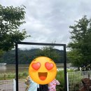별카페 - 고창군 성산3길 15 | 가평 카페 남이섬 여행 필수코스 별그랑베이커리카페 남이섬점 후기