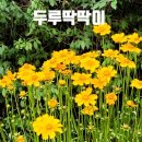 담은하다