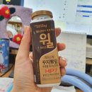 8월 일상 - 5