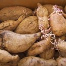 학수농장 이미지