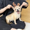 새나의원 이미지