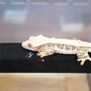 준호농장 이미지