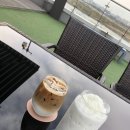 세종시청뒤편 이미지