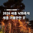 스마트폰 사진찍기 | 2026 세종낙화축제 꿀팁 명당자리 직접다녀온 후기