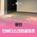 버디스크린
