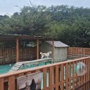 원남로-8 | 구미 쥬쥬동산| 구미맛집 코마츠텐동 |내돈내산 솔직후기