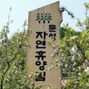 문성 자연휴양림 이미지