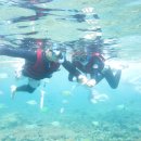 안전횟집 이미지