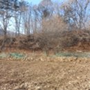 무릉도원면-17 이미지