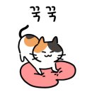 언제나고양이 이미지