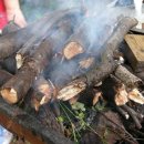 열무농장 이미지