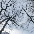 호텔정관루별관(게스트하우스) 이미지