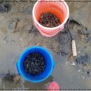 오션이니스프리 펜션 이미지