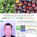 GAP 바이오체리 50% 맛보기 이벤트 이미지