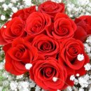 로즈데이 이미지