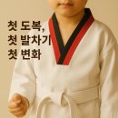 건강한태권도 이미지