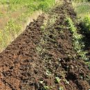 정주농장 이미지