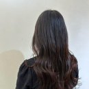 그리니헤어 | 부천시청미용실, 머릿결 고민 해결! 그리니헤어 부천중동점 솔직 후기