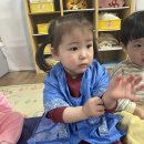 오감퍼포먼스-반려동물케어 전문가🐶🐕❤️ 이미지