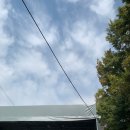 일산그레디 이미지