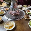 초가집생생오리
