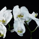 연수2동 주민센터 이미지