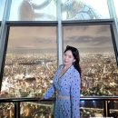 SKY쇼핑몰 | 일본 도쿄 여행 코스 : 스카이트리 전망대 꿀팁