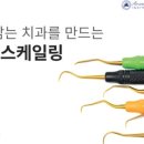 지씨코리아