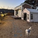 배때기네하우스 이미지