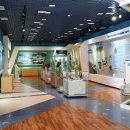 신안철새박물관 이미지