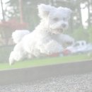 (주) 하나사료 이미지