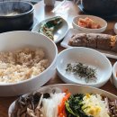 강화섬보리밥 이미지