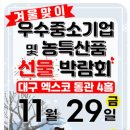 새벽전람 이미지