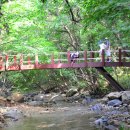 곰배령끝집 이미지