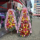 와우오락실 이미지