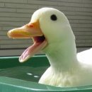 면목식당 이미지