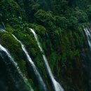 꼬마 시인의 하루(앤서니 브라운 우리 가족 이야기) | "기독교 세계관으로 그림책 읽기 300" 목록