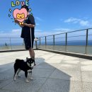 대동2목장 네이버블로그