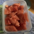 DO놈버거앤비어 | 이 와중에도 몬스타엑스 커넥트 X 콘서트 후기 올리는 내가 바로 파이어 앤 아이스