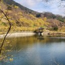 현천마을 이미지