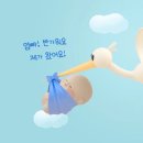 E편한PC | 임신초기 해야 할 일 정리 | 임신확인서, 맘편한임신, 바우처, 임신초기검사, 영양제, 보험