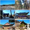 촌부의 단상-역사문화탐방 드라이브 이미지