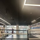 조대팀맥 이미지