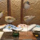 금수복국 본점 이미지