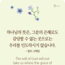 인도하지 않습니다 이미지