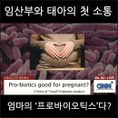 우후죽순식품(유) | 임산부유산균 초기부터 챙겨야하는 이유