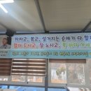 월등도민박 네이버블로그