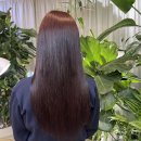 영헤어리드미용실 | 명동역 미용실 추천 예리드 클리닉염색 후기